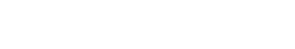 Express plus Logo